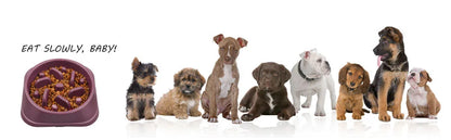 Pet Dog Slow Feeder Bowl Non Slip Puzzle Bowl Anti-Gulping Pet Slower Food Feeding Dishes Dog Bowl for Medium Small Dogs Puppy