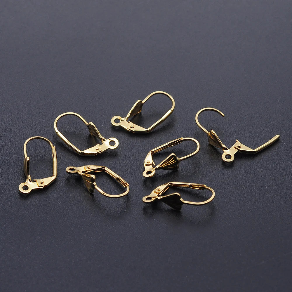 10pcs/Lot 316 Stainless Steel     Ear ring French D Buckle Ear Hook Wholesale Never Tarnish