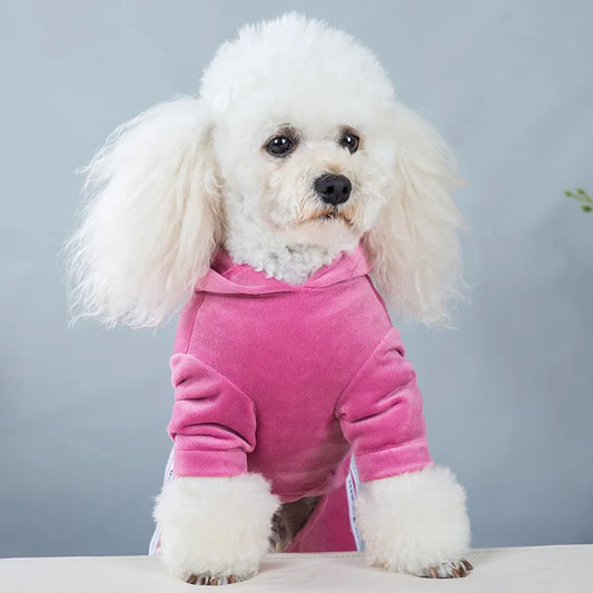 Dog Pet Sports Clothes
