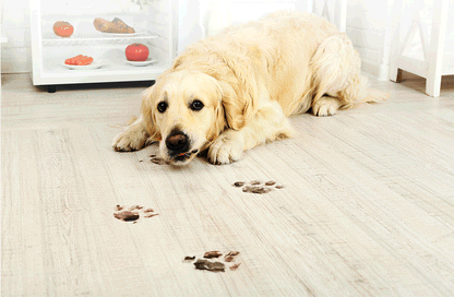 Robot Vacuum Cleaner LIECTROUX/LILIN C30B ,Map Navigation with Memory,Wifi APP Control,6000pa Suction,Smart Electric Water Tank