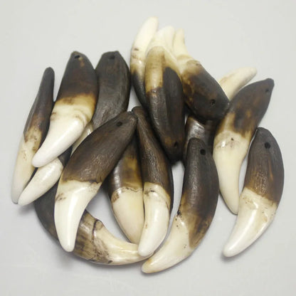 Wolf Teeth Pendant Wholesale Teeth 4 pcs Retro White&Black Teeth Jewelry Accessories Resin High Imitation  