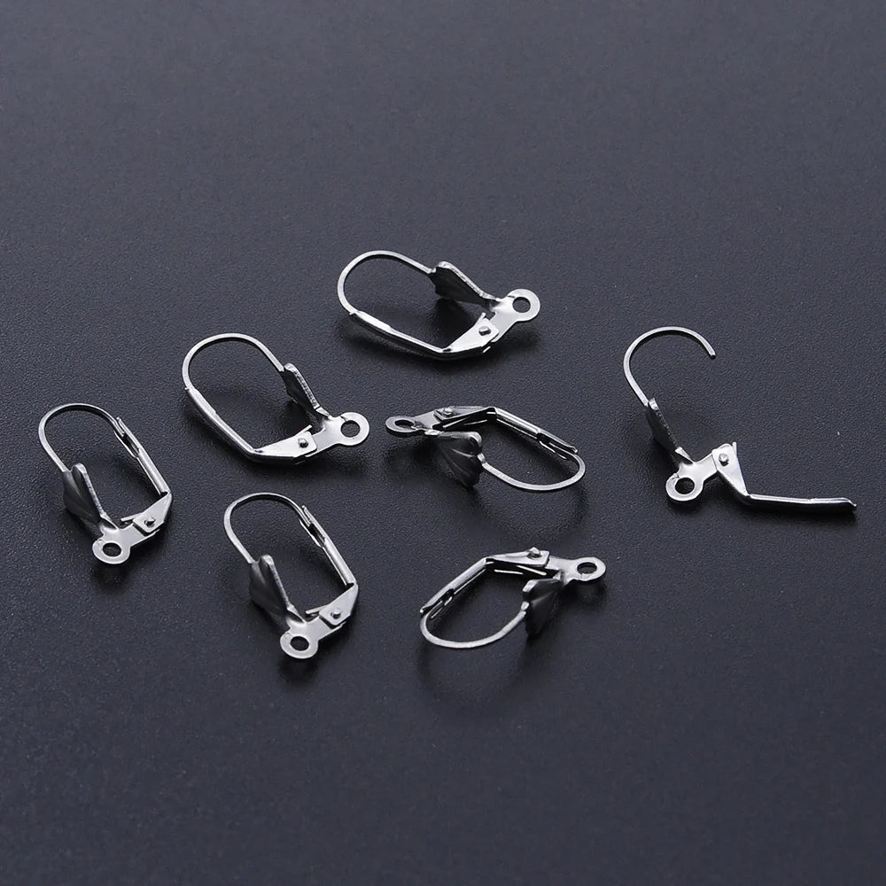 10pcs/Lot 316 Stainless Steel     Ear ring French D Buckle Ear Hook Wholesale Never Tarnish