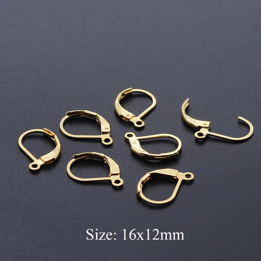 10pcs/Lot 316 Stainless Steel     Ear ring French D Buckle Ear Hook Wholesale Never Tarnish