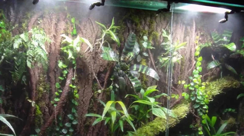 Reptile Misting System for Reptile Pet Terrarium Misting System