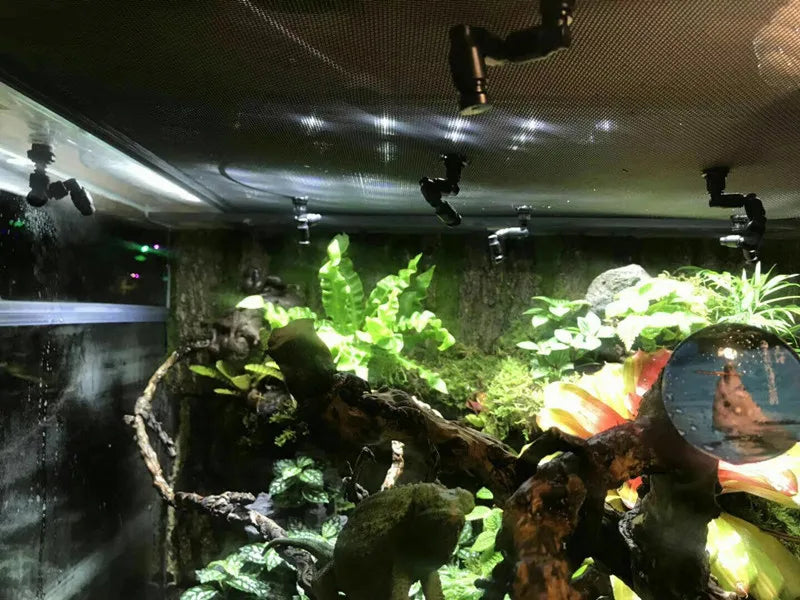 Reptile Misting System for Reptile Pet Terrarium Misting System