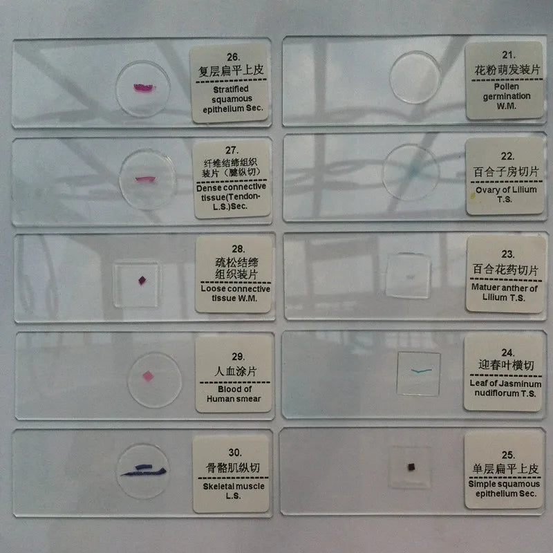 50 PCS Prepared Microscope Slides Learning Resources Slice in Box Basic Science Teaching Learning Specimen