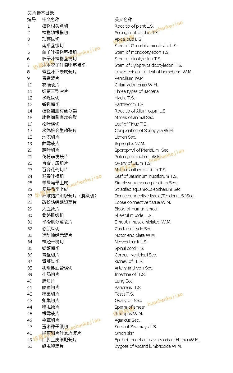 50 PCS Prepared Microscope Slides Learning Resources Slice in Box Basic Science Teaching Learning Specimen