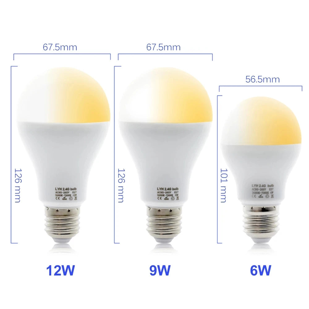 Smart LED Bulb E27 6W 9W 12W RF 2.4G Wireless Remote Control Night Light Timing Turn off Warm Cold Light Dimmable Led Lamp Bulb