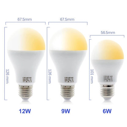 Smart LED Bulb E27 6W 9W 12W RF 2.4G Wireless Remote Control Night Light Timing Turn off Warm Cold Light Dimmable Led Lamp Bulb