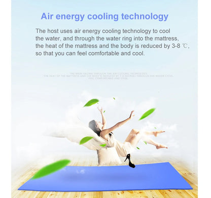12V Water Circulation Bed Ice Sleeping Pad Cooling Pad Water-cooled Refrigeration Mattress Cooling Fan Conditioner Air Condition