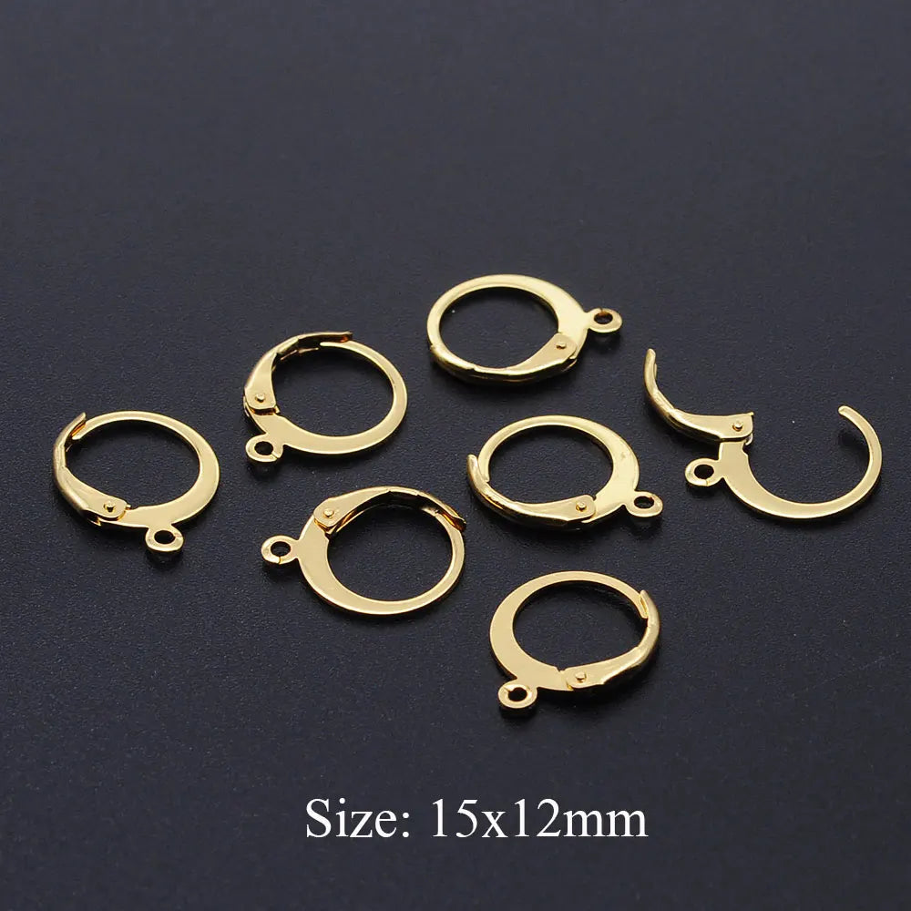 10pcs/Lot 316 Stainless Steel     Ear ring French D Buckle Ear Hook Wholesale Never Tarnish