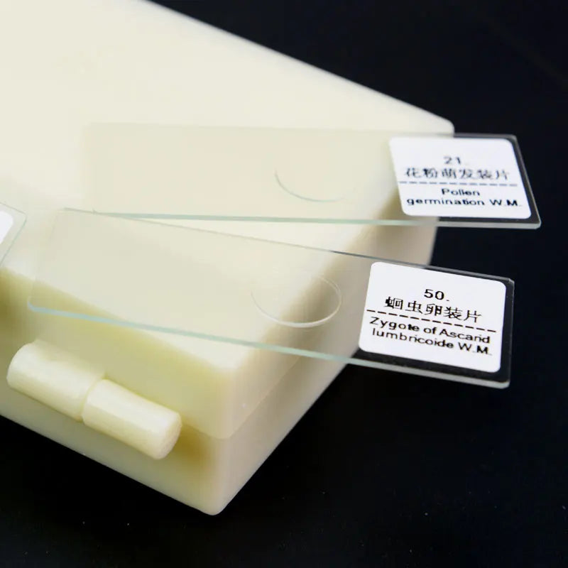 50 PCS Prepared Microscope Slides Learning Resources Slice in Box Basic Science Teaching Learning Specimen