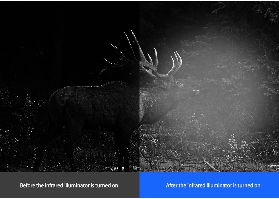 Fire Wolf Night Vision 4.3 Inch Display Siamese Scope Video Cameras Infrared illuminator Riflescope Hunting Optical