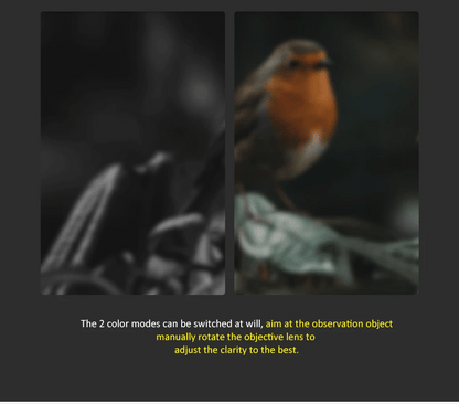 Fire Wolf Night Vision 4.3 Inch Display Siamese Scope Video Cameras Infrared illuminator Riflescope Hunting Optical