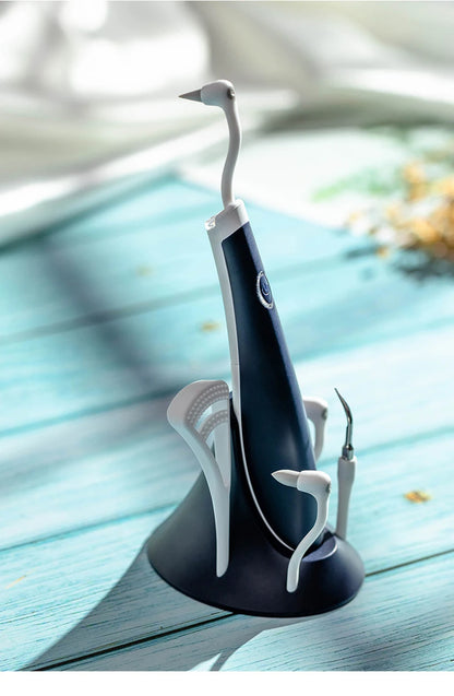 Water Flosser Cordless Dental Oral Irrigator for Teeth with LED Light and 3 / 5 Jet Tips, 4 Modes, Dental Calculus Remover