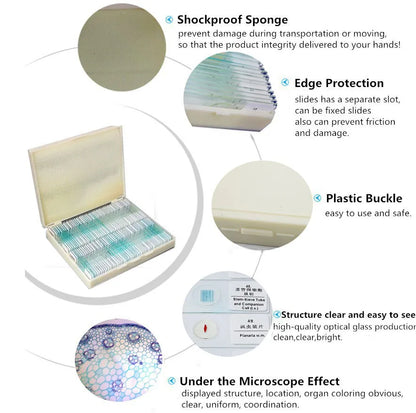 50 Pieces Set School Supplies Microscope Mixed Histology Prepared Slides for Educational Student