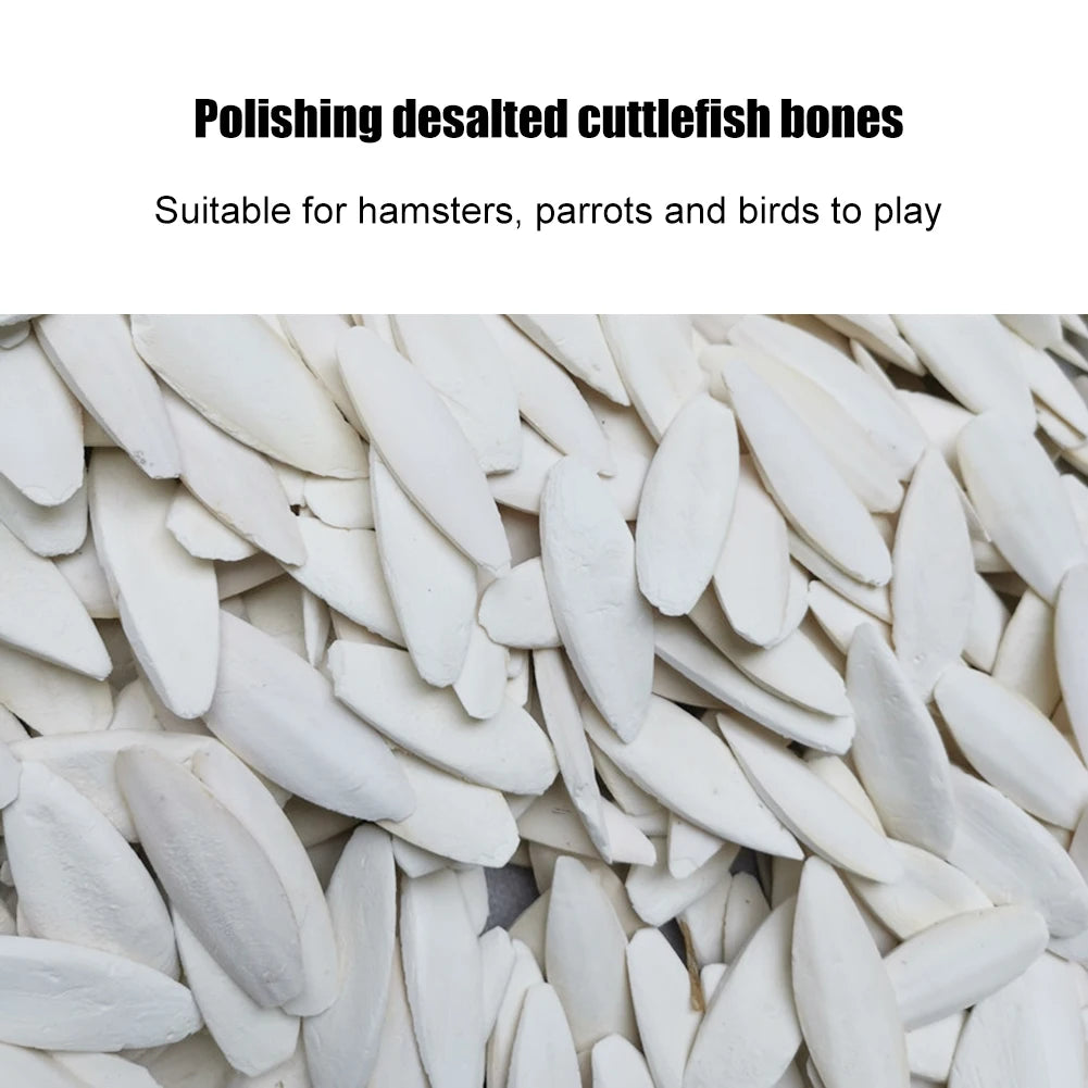 Cuttlefish Bones Calcium Supplements Bird Cage Perch Hamster Molars Chewing Toys Chewing Bird Food Pick Stone Bird