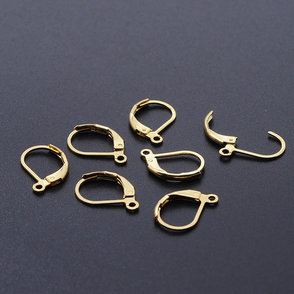 10pcs/Lot 316 Stainless Steel     Ear ring French D Buckle Ear Hook Wholesale Never Tarnish