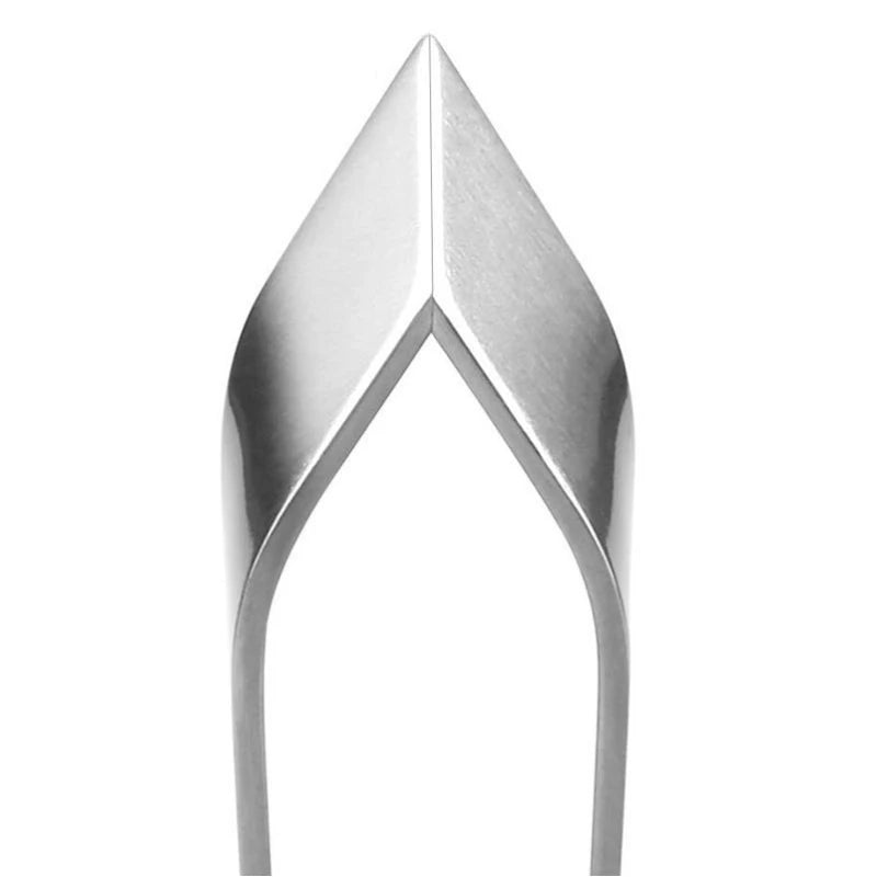 Fish Scales Scraping Graters Stainles Fast cleaner Remove skin brush Cleaning Peeler Scraper bone scaler Tongs tweezers tool