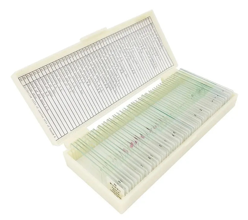 50 PCS Prepared Microscope Slides Learning Resources Slice in Box Basic Science Teaching Learning Specimen