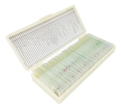 50 PCS Prepared Microscope Slides Learning Resources Slice in Box Basic Science Teaching Learning Specimen