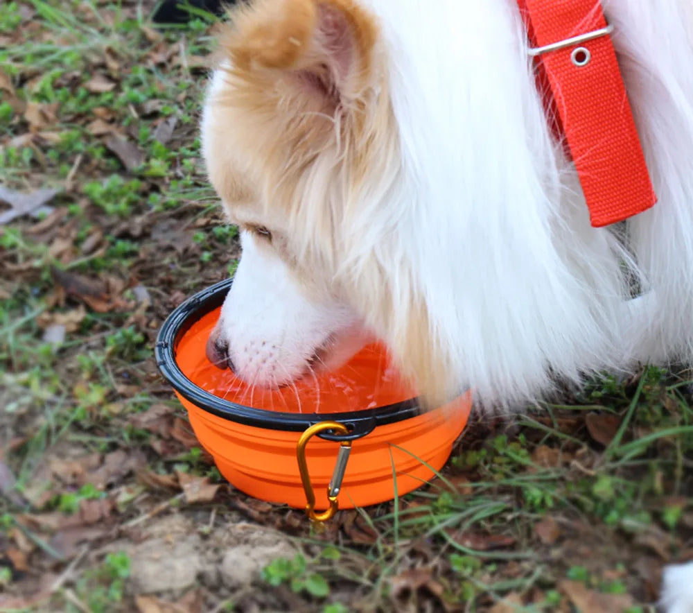 Collapsible Pet Silicone Dog Food Water Bowl Outdoor Camping Travel Portable Folding Pet Supplies Pet Bowl Dishes with Carabiner