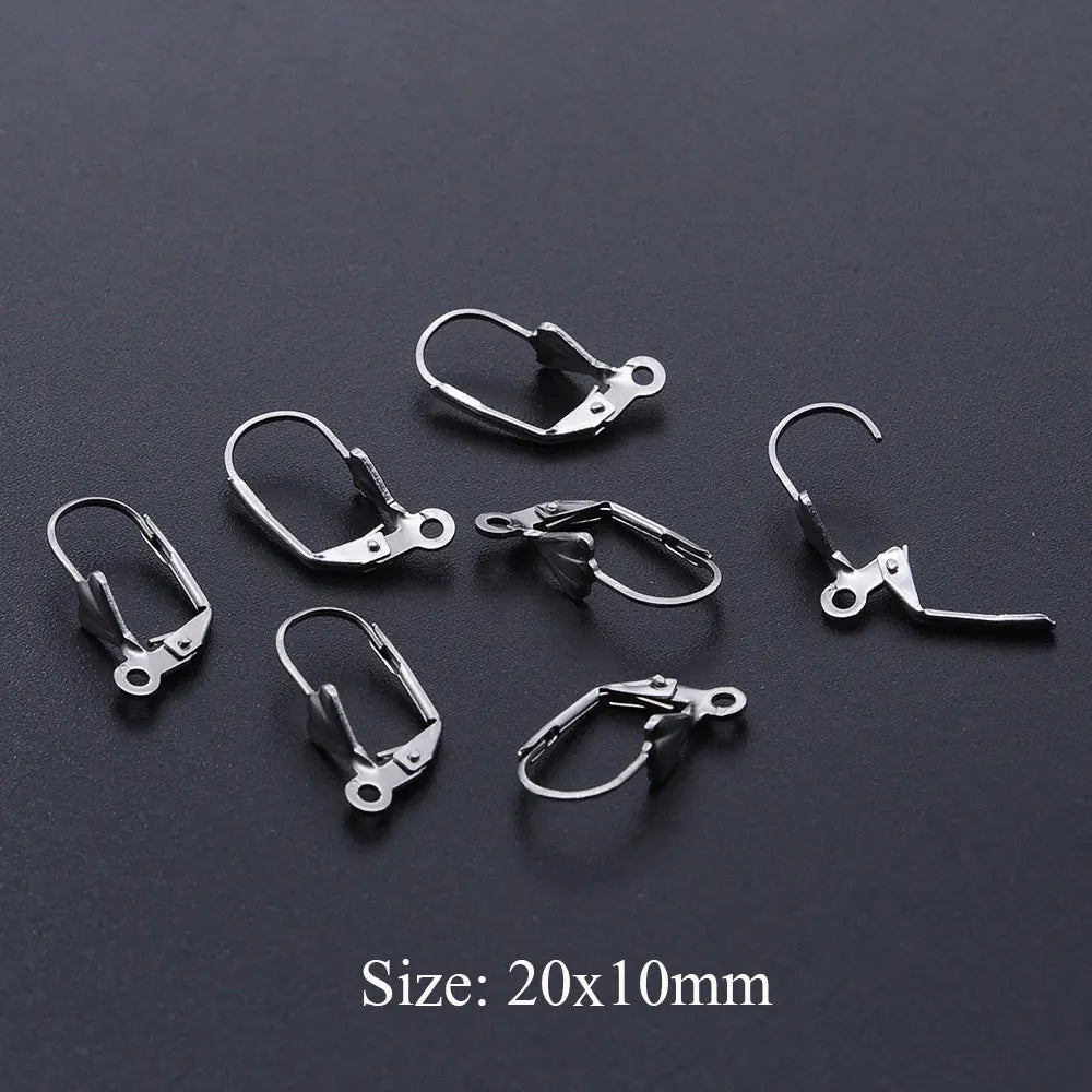 10pcs/Lot 316 Stainless Steel     Ear ring French D Buckle Ear Hook Wholesale Never Tarnish