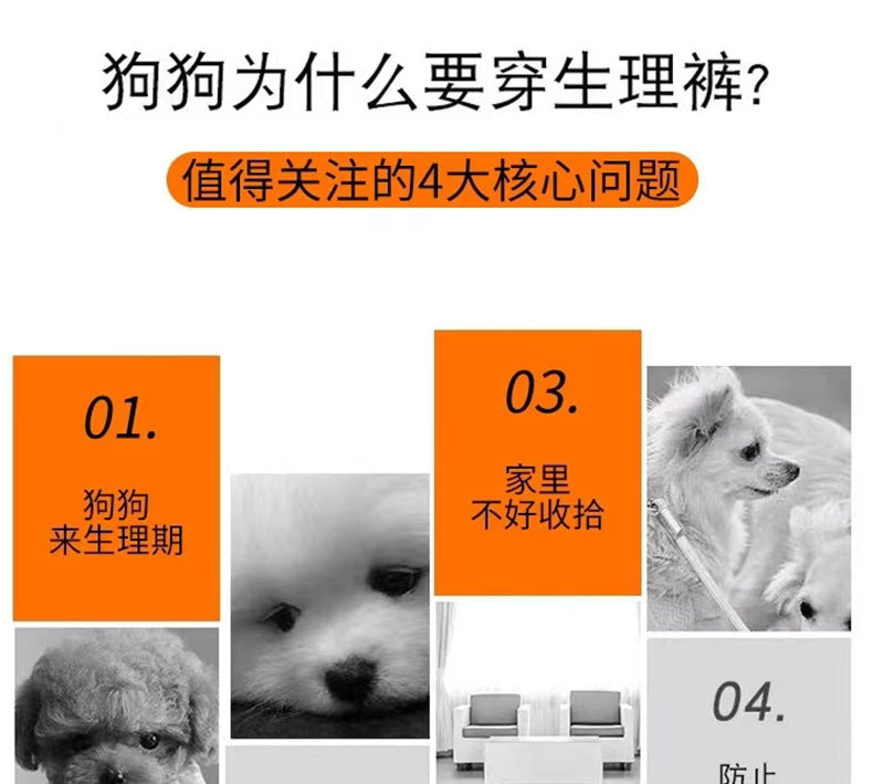 Washable Pet Physiological Pants Reusable Dog Diaper Pad Pet Absorbent Pad Dog Diaper Male Physiological Pants  Shorts  Diapers