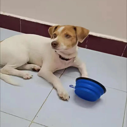 Foldable Puppy Big Dog Travel Bowls for Dogs Cats Safety Pet Cat Drinking Bottle Dog Water Food Bowl Pets Feeder Cat Accessories