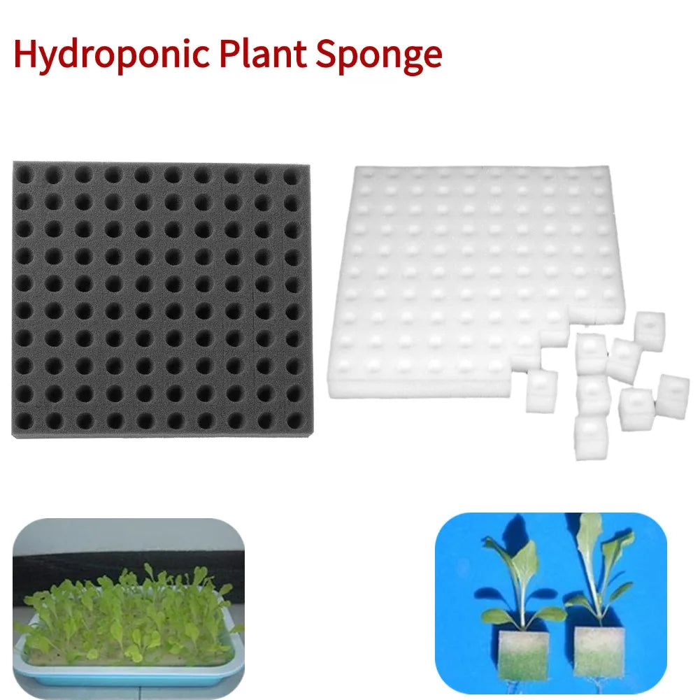 100 Hole/sheet Hydroponic Plant Sponge Garden Cultivation Seedling Soilless Culture Planting Tools Vegetables Nursery Pots Tray