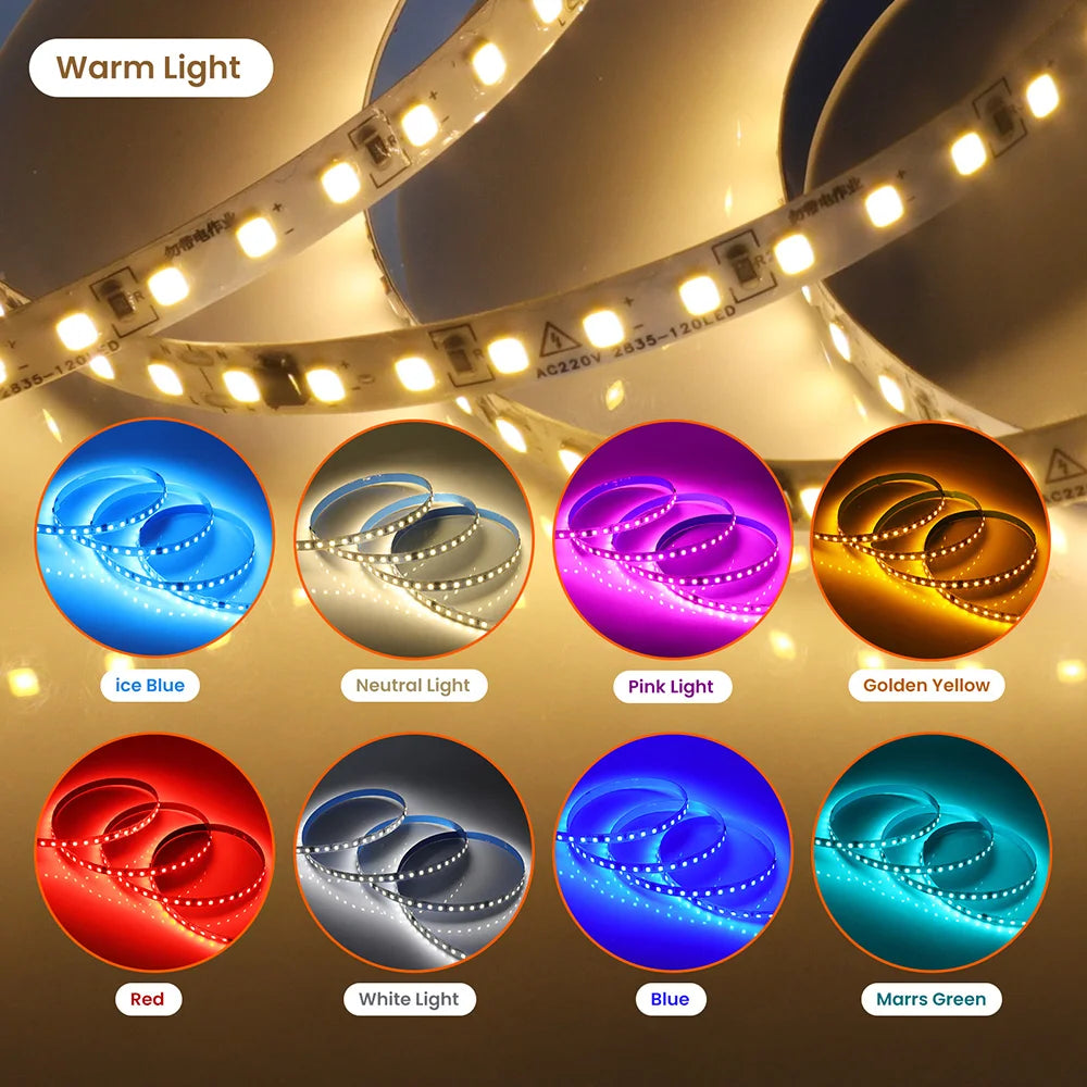 5m 10m 20m 50m LED Strip Light AC 220V 230V 240V IP55 2835 120 LEDs Flexible Ribbon Rope Lights Tape 9 Colors Home Decoration