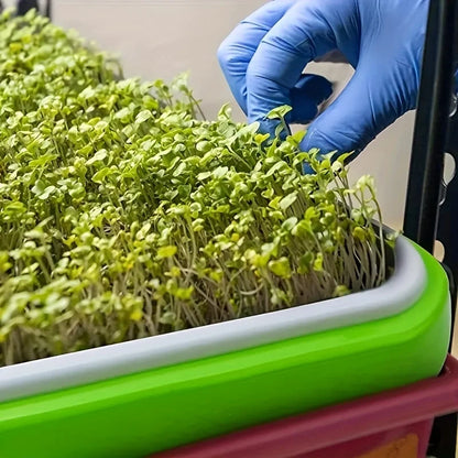 5 growth trays for germinating seeds, hydroponic basket for soilless cultivation, germination tray kit with lid