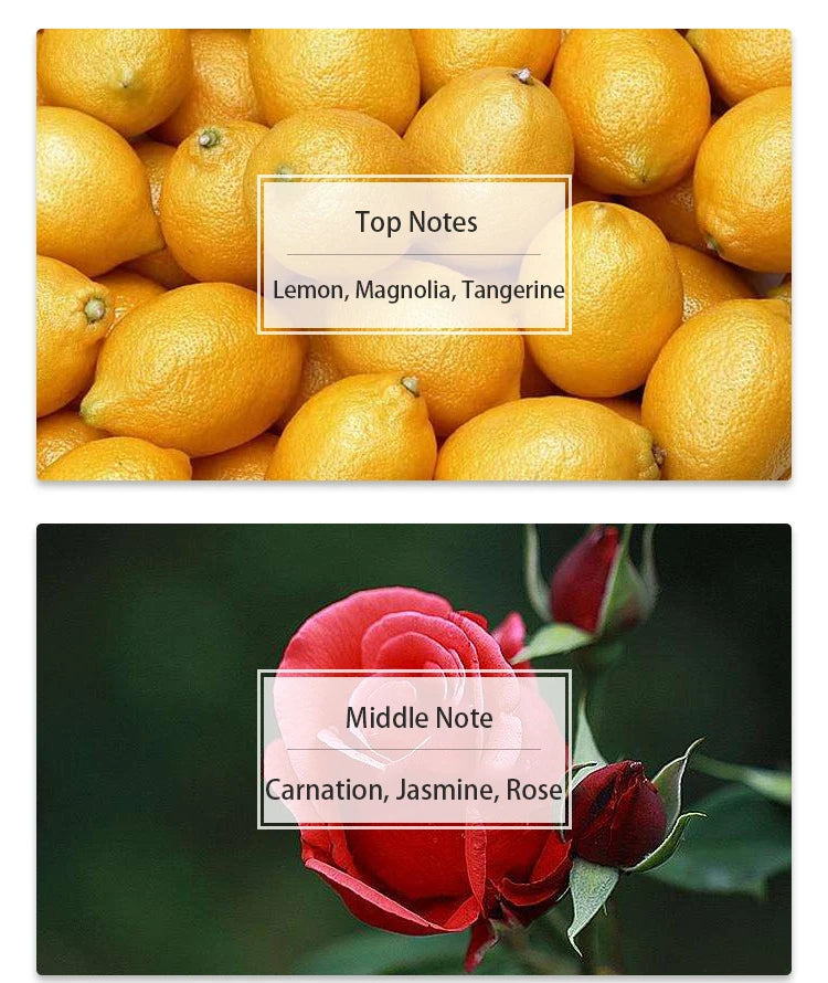 30ML Women's Perfume Rose Fragrance Notes Lasting Fragrances Body Spray Perfume Natural Taste Parfum Cologne Dating Deodorants