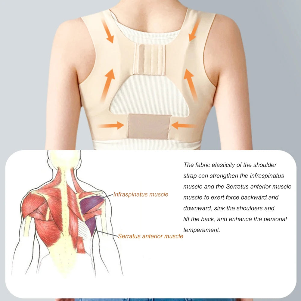 Posture Corrector Adjustable Women Back Support Belt Orthotics Posture Correction Braces Rectify Posture Corset Shoulder Posture