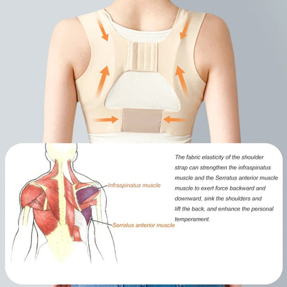 Posture Corrector Adjustable Women Back Support Belt Orthotics Posture Correction Braces Rectify Posture Corset Shoulder Posture