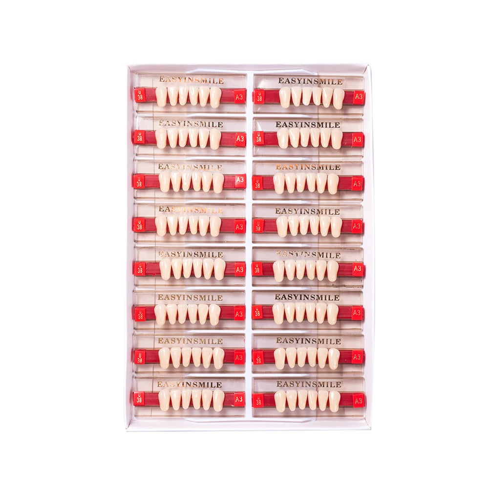 16/12 Sets/ Box Dental Teeth Anterior Posterior Polymer Denture acrylic Tooth A2 A3 2 Layers Dentistry Materials Education Model