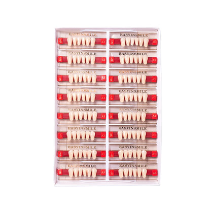 16/12 Sets/ Box Dental Teeth Anterior Posterior Polymer Denture acrylic Tooth A2 A3 2 Layers Dentistry Materials Education Model