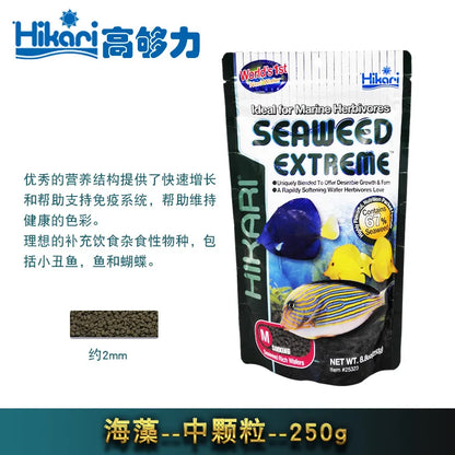 Seawater Feed Fish Food Seawater Fish Food Hikarii Vegetarian Sponge Intestinal Probiotics Seawater Fish Food