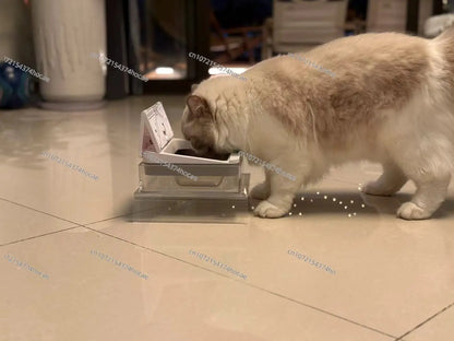 Smart Automatic Pet Feeder With RFID Sensor, Elevated Base, and 650ml Capacity for Wet & Dry Food
