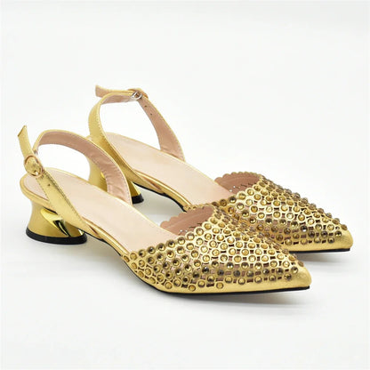 Nigeria Shoe and Bag Wedding Shoes Bride Nigerian Ladies Wedding Shoes Luxury Italian Style Heels African Women Party Pumps