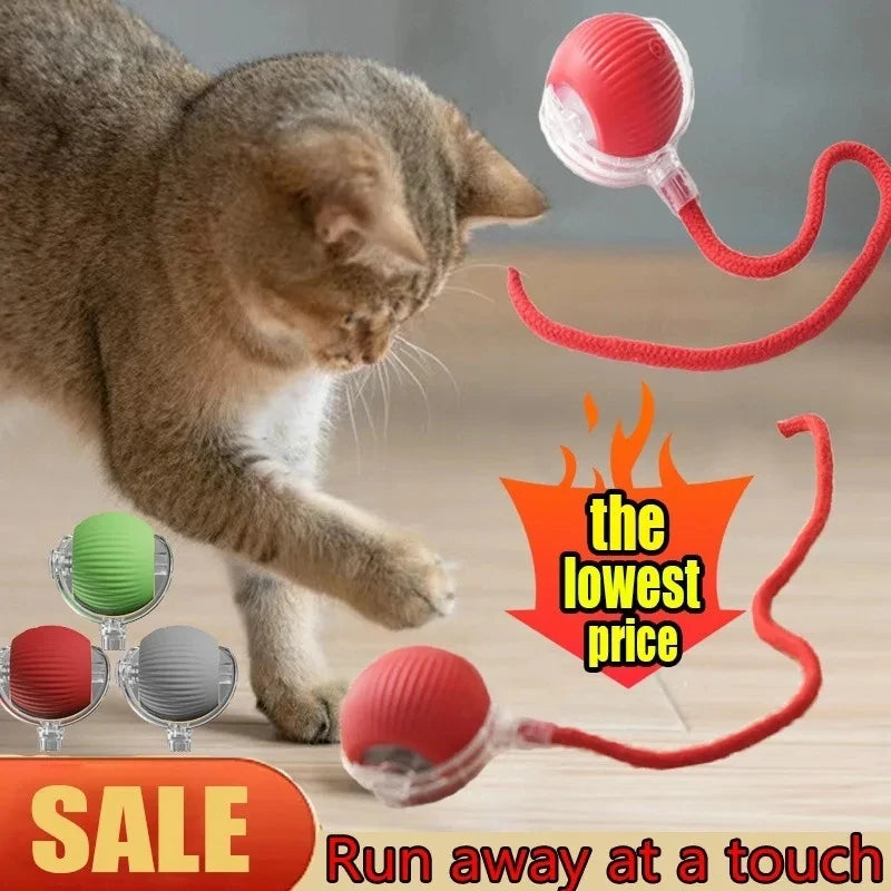 Interactive Dog Toys Rechargeable Pet Interactive Toys Electric Cats Ball Automatic Rolling Fake Tail Ball Dog Cats Toy