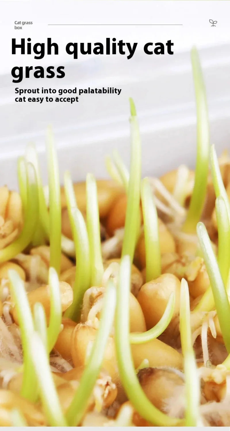 Hydroponic Natural Cat Grass Growing Kit-Organic Wheat Grass Seeds For Digestive Health & Hairball Control,With Potting Soil Set