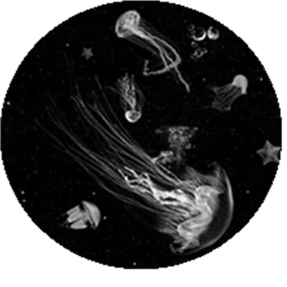 Slide projection film Galaxy starry sky slide film (excluding projectors)