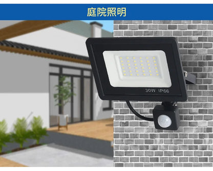 LED Floodlights 100W 50W 30W 20W 10W PIR Motion Sensor IP66 Waterproof LED 220V Hanging Exterior Outdoor Wall Lamp Spotlight