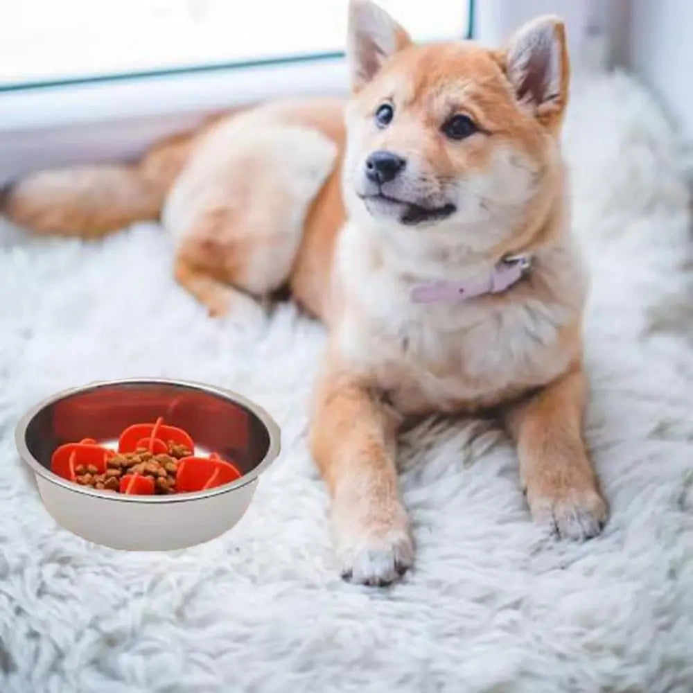 Dog Supplies Silicone Dog Slow Feeder Anti Choking Soft Pet Slow Food Bowl Safe Nonslip Puppy Feeding Bowl for Pet