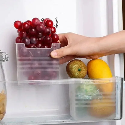 Wholesale Refrigerator Storage Boxes Kitchen Fruit Vegetable Fresh-keeping Box Fridge Side Door Container Organizer Accessories