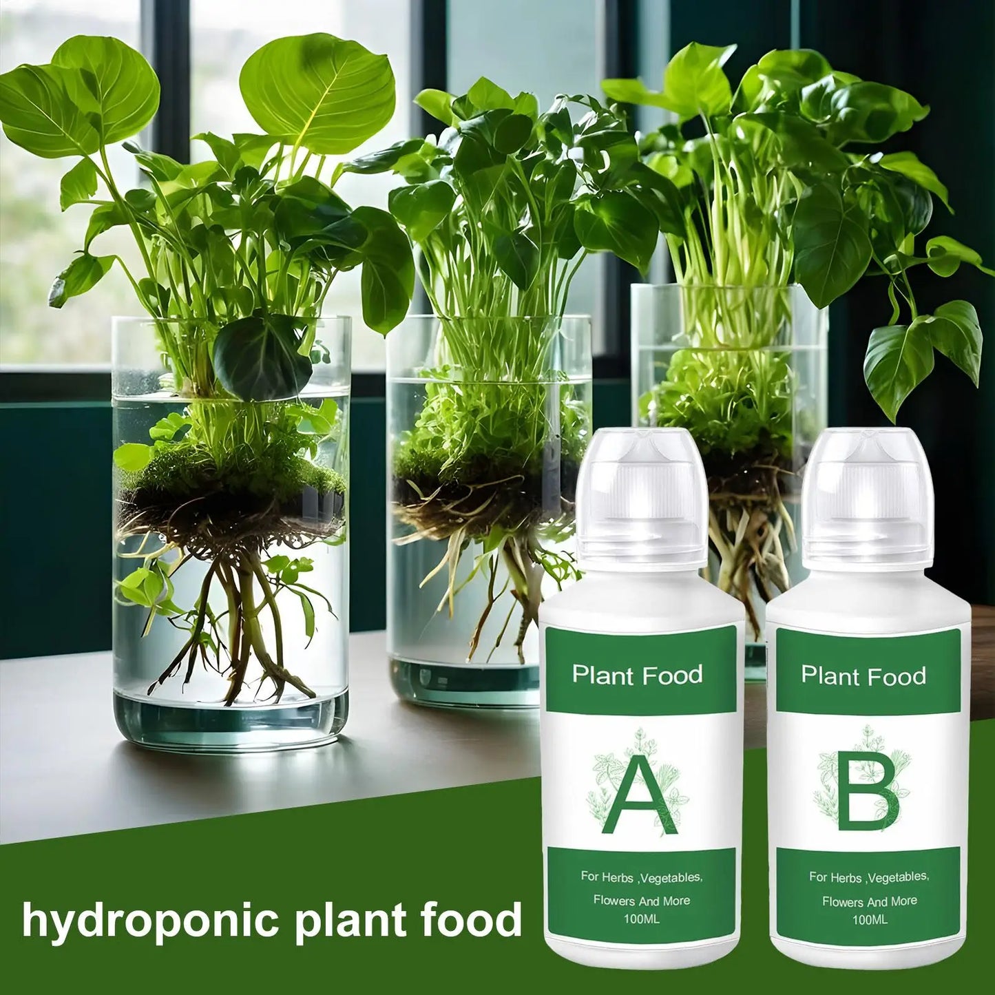 Fertilizer for Plants Plant Food A B Hydroponics Supplies 2 Piece Solution Growing System Accessories for Vegetables Fruits