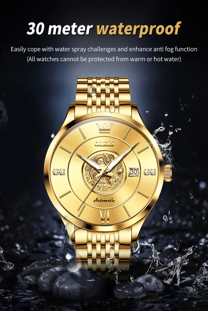OLEVS brand watch Xianglong relief fully automatic mechanical watch men's watch men's watch 6693