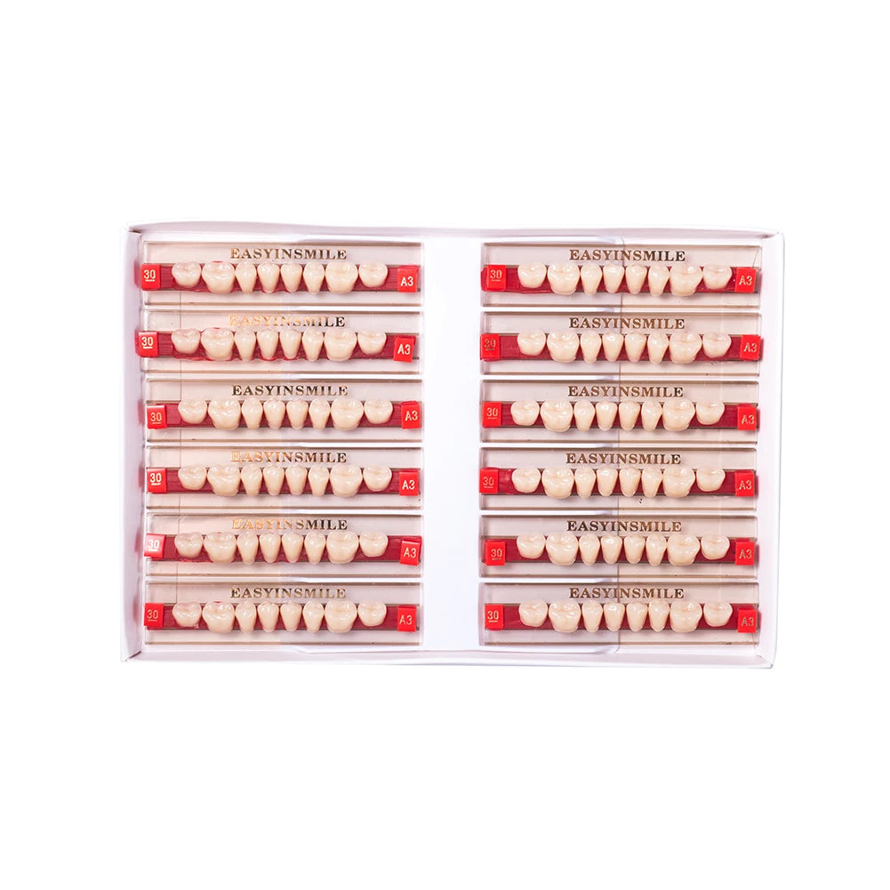 16/12 Sets/ Box Dental Teeth Anterior Posterior Polymer Denture acrylic Tooth A2 A3 2 Layers Dentistry Materials Education Model