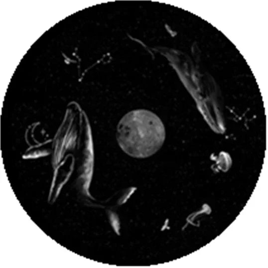 Slide projection film Galaxy starry sky slide film (excluding projectors)